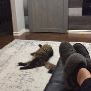 Meet your Posher, Nicky